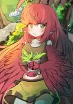  1girl absurdres ahoge animal_ears bangs bird_ears blush brown_eyes brown_tank_top coco_(eogks) commentary feathers harpy highres holding holding_plant long_hair looking_at_viewer midriff monster_girl moss mushroom nn_(eogks) original outdoors plant potted_plant red_feathers red_hair skit solo tank_top tree very_long_hair winged_arms wings 