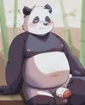 2022 anthro balls bamboo belly big_belly black_body black_nose blush erection genitals giant_panda hi_res humanoid_hands kemono male mammal moobs nipples one_eye_closed overweight overweight_male penis pixiv_id_54092237 sitting solo ursid white_body 