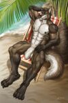  4_toes 5_fingers abs amonsyd anthro athletic beach beach_chair biceps blue_eyes brown_body brown_fur brown_hair canid canine canis claws feet fingers fur genitals hair hairy hand_behind_head hand_on_leg hi_res hindpaw humanoid_genitalia humanoid_penis looking_at_viewer male mammal multicolored_body multicolored_fur muscular muscular_anthro muscular_male muscular_thighs nails nipples paws pecs penis plant pose seaside serratus sharp_claws sharp_nails sharp_toenails solo tail_tuft toenails toes triceps tuft under_tree vein veiny_penis watermark white_body white_fur wolf 