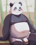  2022 anthro balls bamboo belly big_belly black_body black_nose blush flaccid genitals giant_panda hi_res humanoid_hands kemono male mammal moobs nipples overweight overweight_male penis pixiv_id_54092237 sitting solo ursid white_body 