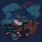  ailurid anthro artist cloud furry genitals invalid_tag male mammal night night_sky nsfw nude penis red_panda sky star temrin toaster_oven 