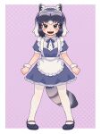  1girl alternate_costume an-chan_(ananna0315) animal_ears apron black_footwear blue_bow blue_bowtie blue_dress blush bow bowtie brown_eyes collar collared_dress commentary common_raccoon_(kemono_friends) dress enmaided fangs frilled_apron frilled_collar frilled_dress frills full_body grey_hair hair_bow highres kemono_friends looking_at_viewer maid maid_headdress mary_janes multicolored_hair open_mouth puffy_short_sleeves puffy_sleeves raccoon_ears raccoon_girl raccoon_tail shoes short_dress short_hair short_sleeves solo suspenders symbol-only_commentary tail white_apron white_hair wrist_cuffs 