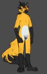  ambiguous_gender anthro canid canine fox hi_res mammal model_sheet pubes standing thrashthrash 