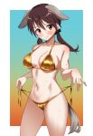  1girl animal_ears bikini blush breasts brown_eyes brown_hair collarbone cowboy_shot dog_ears dog_girl dog_tail gertrud_barkhorn gold_bikini groin hair_ribbon highres long_hair looking_at_viewer low_twintails momendoufu navel ribbon side-tie_bikini_bottom solo strike_witches strike_witches:_aurora_no_majo strike_witches:_suomus_misfits_squadron sweat swimsuit tail twintails untied untied_bikini untying world_witches_series 