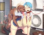  ;p ahegao air_conditioner animal bad_id bad_pixiv_id bag bestiality blue_hair blush breasts collar dog doggystyle fucked_silly heart huge_breasts kneehighs leash messenger_bag one_eye_closed open_mouth original panties panty_pull pink_panties saliva school_uniform sex short_hair shoulder_bag socks solo_focus sweat tongue tongue_out underwear v vest xxzero yellow_eyes 
