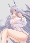  1girl animal_ear_fluff animal_ears azur_lane bangs bare_legs bare_shoulders blue_eyes blush breasts cleavage covering_mouth dress_shirt feet_out_of_frame floating_hair fox_ears fox_tail grey_background hand_up invisible_chair large_breasts long_hair long_sleeves naked_shirt off_shoulder schreibe_shura shinano_(azur_lane) shirt sidelocks simple_background sitting sleeves_past_fingers sleeves_past_wrists solo tail thighs very_long_hair white_hair white_shirt 