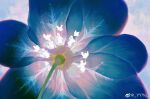  absurdres artist_name blue_flower flower flower_focus highres no_humans original ye_(ran_chiiipye) 