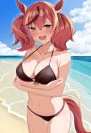  1girl absurdres animal_ears bangs bare_arms bare_shoulders beach bikini black_bikini blue_sky blush breasts brown_eyes cleavage cloud collarbone commentary_request cowboy_shot day hair_between_eyes highres horse_ears large_breasts looking_at_viewer medium_hair navel newon nice_nature_(umamusume) ocean open_mouth red_hair sky solo standing stomach swimsuit tail thighs twintails umamusume water 