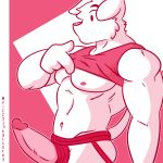  anthro canid canine canis clothed clothing clothing_aside clothing_lift dc_comics digital_media_(artwork) domestic_dog erection fizzyjay fur genitals hi_res humanoid_genitalia humanoid_penis jockstrap jockstrap_aside krypto krypto_the_superdog male mammal muscular muscular_male nipples nude penis shirt shirt_lift simple_background solo tank_top topwear underwear underwear_aside 