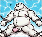  alanottaviano anthro barazoku belly chain chained fur genitals hi_res league_of_legends male male/male mammal musclegut muscular muscular_male overweight penis polar_bear riot_games slightly_chubby solo ursid ursine video_games volibear white_body white_fur 