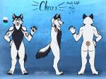  andromorph anthro arctic_wolf canid canine canis cheero intersex male mammal model_sheet sammy_the_tanuki solo wolf 