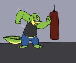  2021 4_fingers alligator alligatorid anthro bottomwear brok_(character) brok_the_investigator clothing crocodilian fingers green_body hi_res humanoid_hands male pants punching_bag reptile scalie shirt sobieniak solo topwear 