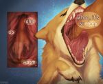  anthro bodily_fluids canid canine canis coyote deep_throat digital_media_(artwork) domestic_dog duo english_text feral fur inside_stomach internal internal_oral mammal open_mouth oral oral_penetration oral_vore organs paradoxinhead paws penetration saliva saliva_string simple_background soft_vore stomach stomach_acid teeth text tongue tongue_out vore 