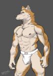  absurd_res brown_eyes canid canine canis clothing fur hi_res jockstrap male mammal muscular nipples sefews solo standing underwear wolf 
