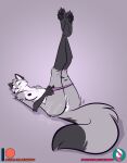  anthro anus arctic_fox breasts canid canine canis feet female fox genitals mammal nicnak044 nipples nude pawpads paws pinup pose pussy solo 