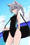  1girl animal_ear_fluff animal_ears bag black_one-piece_swimsuit blue_archive blue_eyes blue_sky breasts cloud competition_swimsuit cross_hair_ornament duffel_bag extra_ears grey_hair hair_ornament highleg highleg_swimsuit holding holding_bag looking_at_viewer low_ponytail medium_breasts mismatched_pupils multicolored_clothes multicolored_swimsuit ocean official_alternate_costume one-piece_swimsuit outdoors shiroko_(blue_archive) shiroko_(swimsuit)_(blue_archive) sky solo standing swimsuit touko_(toko12_tooko) two-tone_swimsuit wolf_ears 