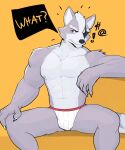  2022 absurd_res anthro canid canine canis clothed clothing english_text hi_res jrjresq looking_at_viewer male mammal muscular muscular_anthro muscular_male nintendo red_eyes sitting solo star_fox text underwear underwear_only video_games wolf wolf_o&#039;donnell 