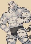  1boy abs absurdres amenohi arknights bara furry furry_male highres male_focus mountain_(arknights) muscular muscular_male nipples pectorals scar scar_on_face standing tiger_boy underwear underwear_only white_fur 