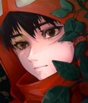  1boy absurdres ashitaka black_hair brown_eyes close-up closed_mouth eyelashes hair_between_eyes highres hood hood_up long_eyelashes male_focus mononoke_hime oj_0624 plant scar scar_on_face solo stitches studio_ghibli upper_body 