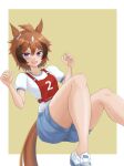  1girl ahoge animal_ears blue_shorts brown_background brown_hair character_name commentary ear_ornament gym_shirt gym_shorts gym_uniform highres horse_ears horse_girl kemuri_(etep3372) looking_at_viewer no_socks open_mouth purple_eyes race_bib sharp_teeth shinko_windy_(umamusume) shirt shoes short_hair short_sleeves shorts sitting smile sneakers solo t-shirt teeth translated umamusume w_arms white_footwear white_hair white_shirt 