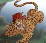 anthro butt cheetah felid feline hair hi_res male mammal muscular muscular_anthro muscular_male piercing shockwave_(character) smile solo spots tail tongue tongue_out zwolf