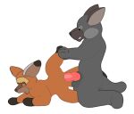  2018 animated anthro canid canine duo erection female fox genitals kneeling knot male male/female mammal no_sound penetration penis simple_background spread_legs spreading vaginal vaginal_penetration vixel white_background 