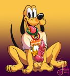 absurd_res aroused aroused_smile balls bodily_fluids bottomless bottomless_male canid canine canis clothed clothing collar disney domestic_dog dripping feral garfield_(series) garfield_the_cat genital_fluids genitals hi_res lobofeo male mammal nickelodeon paws pluto_(disney) precum precum_drip solo
