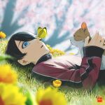  1boy black_hair blue_eyes blurry blurry_background bug butterfly cat depth_of_field earrings flower hair_between_eyes highres horikawa_kunihiro jewelry lying male_focus on_back on_grass parted_lips rawshirasudon short_hair solo stud_earrings surprised touken_ranbu upper_body yellow_butterfly yellow_flower 