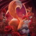 1:1 3d_(artwork) aeril_(helios) anthro ass_up big_breasts blender_(software) breasts canid canine countershading curtains digital_media_(artwork) female flower fox fur hair hi_res looking_at_viewer mammal mmad nipples orange_body orange_fur pinup plant pose raised_tail red_hair rose_(flower) solo tail yellow_eyes