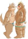 anthro ashigara asian_clothing bear belly blush body_hair briefs brown_body brown_fur bulge canid canine canis chest_hair clothed clothing domestic_dog duo east_asian_clothing fst fundoshi fur grey_body grey_fur hi_res hottophoto imminent_kiss japanese_clothing lifewonders male male/male mammal moritaka scar tokyo_afterschool_summoners topless underwear