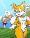 absurd_res age_difference anthro bat big_breasts big_butt breasts butt canid canine duo female fox hi_res lollipopcon male male/female mammal miles_prower older_female rouge_the_bat sega sky sonic_the_hedgehog_(series) younger_male