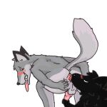 anal animal_genitalia animal_penis anthro anus balls bent_over black_ears blush blush_lines butt canid canine canine_genitalia canine_penis canis crouching duo eating_1_battery eyes_closed genitals grey_body hand_on_penis licking looking_back male male/male mammal oral penis pink_penis presenting presenting_anus presenting_hindquarters raised_tail rimming sex shadow_creature simple_background spread_legs spreading tail tate_(character) teeth tongue tongue_out trev_(character) wolf