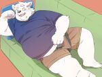 2024 anthro belly big_belly bottomwear canid canine canis clothing domestic_dog furniture hi_res inunoshippo kemono lying male mammal overweight overweight_male shirt shorts sofa solo topwear underwear