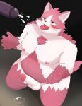 2024 anthro balls belly big_belly blush bodily_fluids bungo_(tamacolle) cum domestic_cat duo ejaculation erection felid feline felis genital_fluids genitals hi_res humanoid_genitalia humanoid_hands humanoid_penis inugamihito kemono male male/male mammal moobs nipples overweight overweight_male penis pink_body precum simple_background solo_focus tamacolle white_body