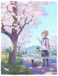  1girl backpack bag black_footwear black_socks blue_eyes blue_skirt blush border brown_bag brown_hair cat cherry_blossoms dappled_sunlight day falling_petals feel_(nasitaki) grass highres kneehighs loafers long_sleeves open_mouth original outdoors petals pleated_skirt road sailor_collar scenery school_uniform serafuku shoes short_hair sidewalk skirt sleeves_past_wrists socks solo standing sunlight sweater tree white_border white_sailor_collar white_sweater 