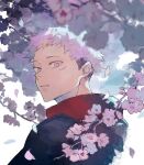  1boy bad_id bad_twitter_id black_jacket cherry_blossoms commentary_request facial_mark falling_petals highres hood hoodie imoimotaru10 itadori_yuuji jacket jujutsu_kaisen looking_at_viewer looking_back male_focus parted_lips petals pink_hair profile red_hoodie solo spiked_hair undercut upper_body 