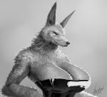  2022 absurd_res anthro artist_name big_breasts black_clothing black_nose blulesnsfw breasts canid canine cleavage clothed clothing digital_media_(artwork) dress female frown fur hi_res huge_breasts looking_at_viewer mammal monochrome portrait signature simple_background solo topwear watermark 
