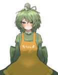  1girl absurdres apron blush closed_mouth clothes_writing commentary cross-laced_clothes dress green_dress green_hair highres juliet_sleeves long_sleeves looking_at_viewer puffy_sleeves short_hair simple_background soga_no_tojiko solo takana_(forsterite) touhou variant_set white_background yellow_apron 