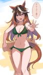  1girl absurdres animal_ears arm_support ass_visible_through_thighs bangs bare_arms bare_legs bare_shoulders bikini breasts brown_hair check_translation cleavage earrings front-tie_bikini_top front-tie_top green_bikini halterneck highres horse_ears horse_girl horse_tail jewelry kusanagi_kaoru long_hair looking_at_viewer medium_breasts multicolored_hair navel open_mouth outstretched_arm purple_eyes reaching_out side-tie_bikini_bottom single_earring sitting solo speech_bubble stomach streaked_hair swimsuit symboli_rudolf_(umamusume) tail translation_request umamusume 