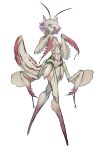  1girl animal_ears antennae arthropod_girl breasts closed_mouth colored_sclera colored_skin extra_arms full_body grey_sclera hands_up highres looking_at_viewer mantis_girl monster_girl no_feet no_hands original pink_eyes ruteko_(ruko220) short_hair simple_background small_breasts solo standing tail white_background white_hair white_skin 