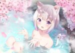  1girl :d animal_ears bell bow breasts cat_ears cat_girl cat_tail cherry_blossoms commission hazuki_(sutasuta) indie_virtual_youtuber nekome_shia nude onsen partially_submerged petals purple_eyes short_hair skeb_commission smile steam tail tail_bell tail_bow tail_ornament virtual_youtuber water white_hair 