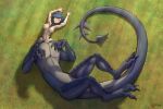  animal_humanoid au_ra big_breasts blue_hair breasts claws curled_tail digital_media_(artwork) dragon dragon_taur female final_fantasy grass hair hi_res horn humanoid klifflod lying monster_girl_(genre) nipples nude on_back plant raised_arm scales scalie scalie_humanoid solo square_enix taur video_games yellow_eyes 