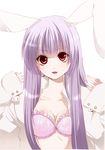 animal_ears bad_id bad_pixiv_id bra breasts bunny_ears cleavage dress_shirt highres lingerie long_hair medium_breasts open_clothes open_shirt pokkuri purple_hair reisen_udongein_inaba shirt solo touhou underwear 