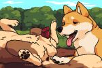  anatomically_correct anatomically_correct_genitalia anatomically_correct_penis animal_genitalia animal_penis anus balls brown_body brown_fur butt canid canine canine_penis canis detailed_background digital_media_(artwork) dipstick_tail domestic_dog duo feral field fur genitals haku_(hdoge) hdoge_(artist) looking_at_genitalia looking_at_penis lying male male/male mammal markings multicolored_body multicolored_fur nipples on_back open_mouth orange_body orange_fur outside pawpads paws penis pixel_(artwork) plant red_eyes sheath shiba_inu spitz tail_markings tongue tongue_out tree two_tone_body two_tone_fur whiskey_(hdoge) 