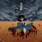  1girl absurdres aircraft airplane antonov_an-225 battle black_hair highres looking_at_viewer military original outdoors painapuru russo-ukrainian_war short_hair ukraine ukrainian_flag war 