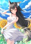  1girl animal_ear_fluff animal_ears arm_behind_head arm_up black_hair blue_sky breasts choker closed_mouth cloud day dress flower frilled_dress frills highres hololive lens_flare lis_111 long_hair low-tied_long_hair medium_breasts multicolored_hair no_tail ookami_mio outdoors red_choker sidelocks skirt_hold sky smile solo spaghetti_strap streaked_hair sundress sunflower sunlight very_long_hair virtual_youtuber white_dress wolf_ears wolf_girl yellow_eyes 