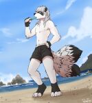  absurd_res anthro beach black_body black_bottomwear black_clothing black_fur black_shorts blue_eyes blue_sky bottomwear clothed clothing food full-length_portrait fur glistening glistening_eyes grey_body grey_fur grey_hair hair hand_on_hip hi_res holding_food holding_object holding_popsicle low-angle_view male mammal midriff navel nipples outside pache_riggs popsicle popsicle_in_mouth portrait procyonid raccoon rock seaside shorts signature sky solo standing three-quarter_view topless white_body white_fur 