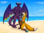  animate_inanimate beach black_eyes blue_eyes canid canine dragon fox horn inflatable living_inflatable mammal membrane_(anatomy) membranous_wings orange_body pool_toy purple_body seaside symrea wings 