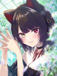  1girl :3 animal_ears black_hair blurry casual choker depth_of_field dog_ears frills greenhouse heterochromia highres inui_toko japanese_clothes looking_at_viewer makamu nail nijisanji official_alternate_hair_length official_alternate_hairstyle parted_lips red_eyes short_hair solo upper_body virtual_youtuber yellow_eyes 