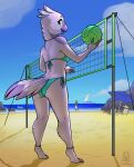  anthro avian ball beach beak bikini bird breasts butt canid canine claws clothing day digitigrade eyebrows feathers female group head_feathers hi_res lichfang looking_at_viewer looking_back mammal open_mouth outside pink_body rear_view sand sea seaside simple_background smile solo_focus sport standing swimwear tail_feathers toe_claws volleyball volleyball_(ball) water 